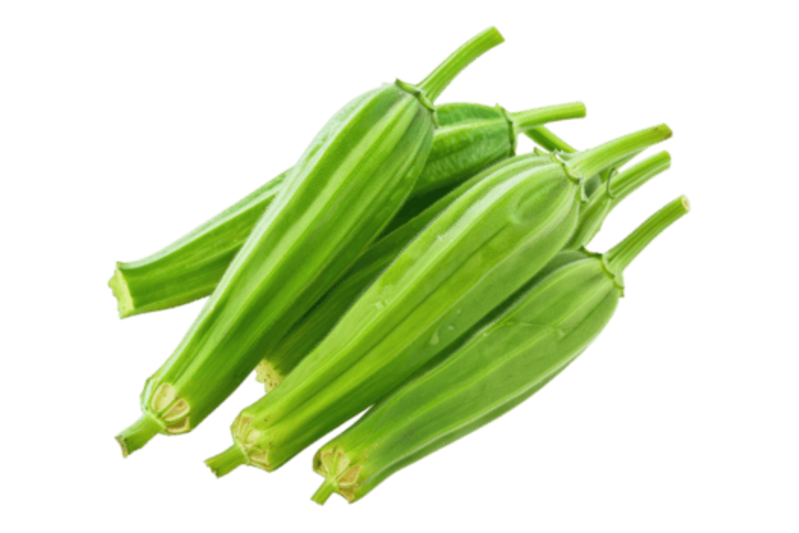 FRESH OKRA BABY